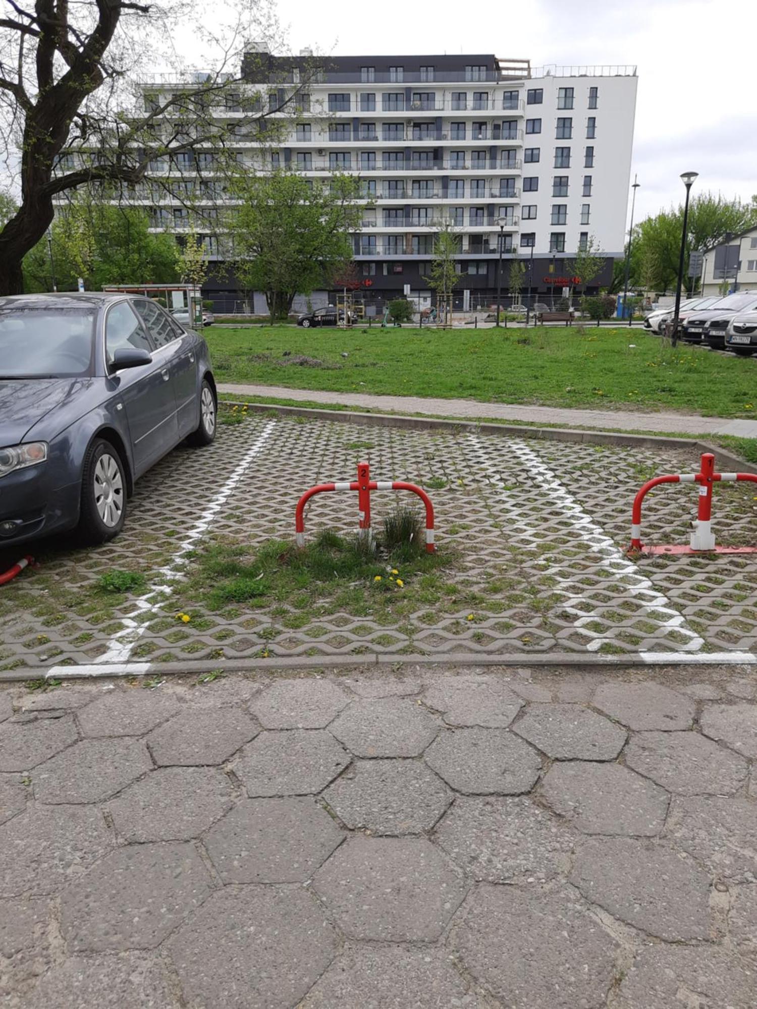 Apartamento "Sady Flat" Varsovia Exterior foto